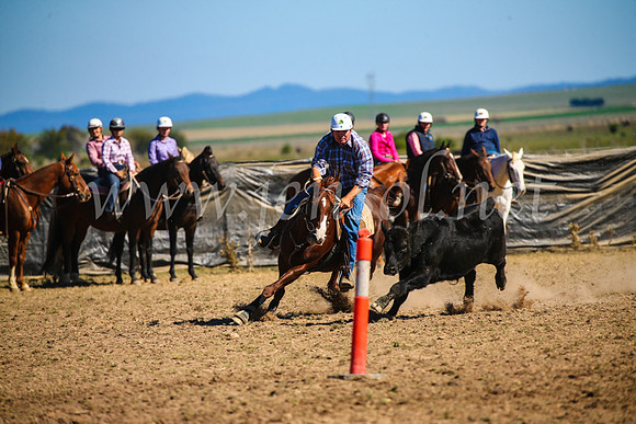 GoulburnCampdraft2017_3987
