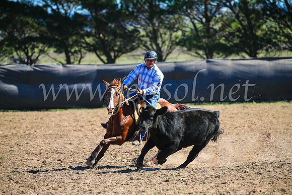 GoulburnCampdraft2017_3902