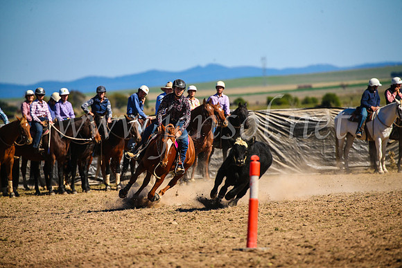 GoulburnCampdraft2017_3935