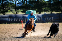 GoulburnCampdraft2017_3829