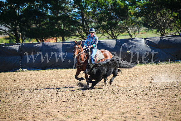 GoulburnCampdraft2017_3994