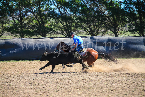 GoulburnCampdraft2017_3825