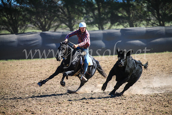 GoulburnCampdraft2017_3909