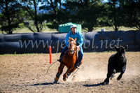 GoulburnCampdraft2017_3831