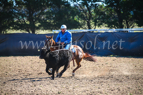 GoulburnCampdraft2017_3997