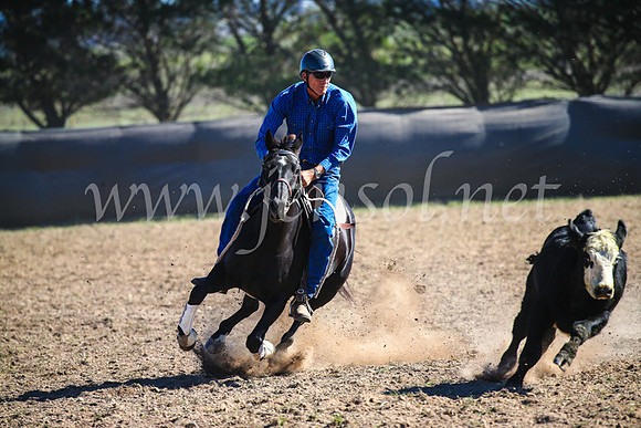 GoulburnCampdraft2017_4078