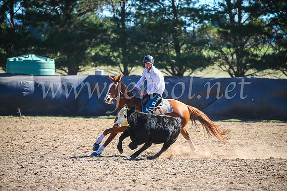 GoulburnCampdraft2017_3967