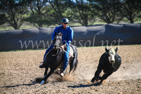 GoulburnCampdraft2017_4088