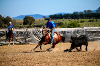 GoulburnCampdraft2017_3828