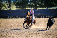 GoulburnCampdraft2017_3863