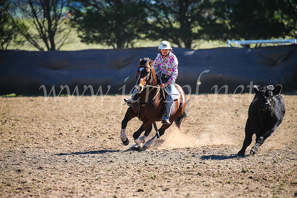 GoulburnCampdraft2017_3863