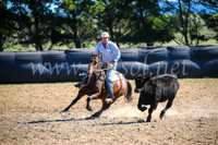 GoulburnCampdraft2017_3837