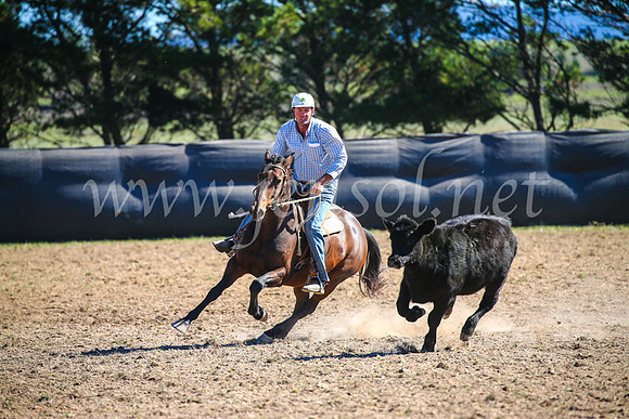 GoulburnCampdraft2017_3837