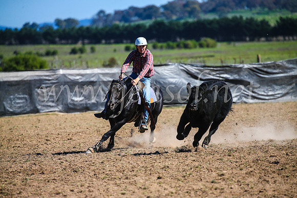 GoulburnCampdraft2017_3921