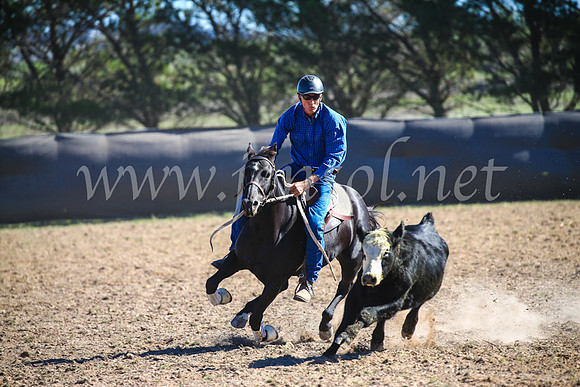 GoulburnCampdraft2017_4090