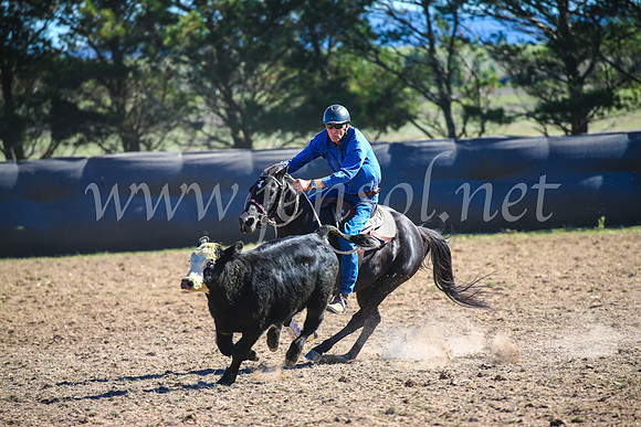 GoulburnCampdraft2017_4076