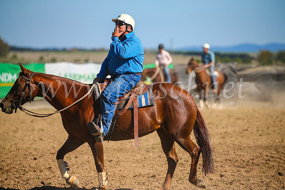 GoulburnCampdraft2017_4053