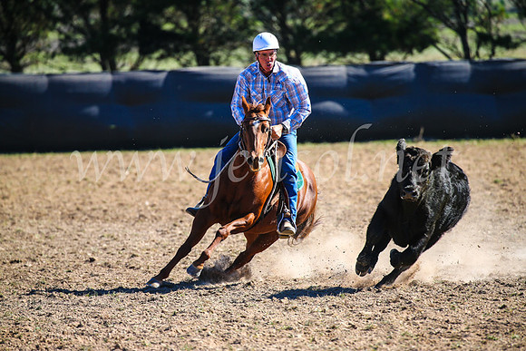 GoulburnCampdraft2017_4062