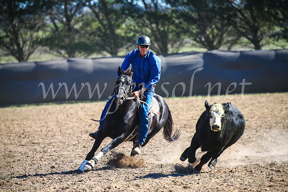 GoulburnCampdraft2017_4089