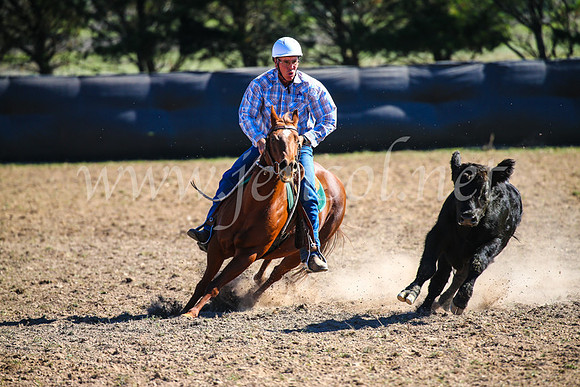 GoulburnCampdraft2017_4063