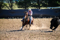 GoulburnCampdraft2017_3864
