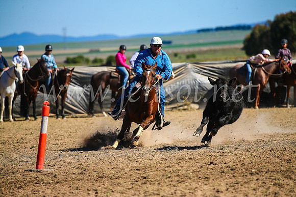 GoulburnCampdraft2017_4040