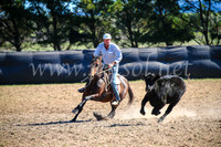 GoulburnCampdraft2017_3838