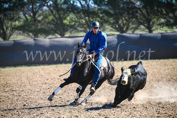 GoulburnCampdraft2017_4091