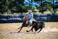 GoulburnCampdraft2017_3844