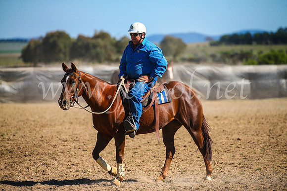 GoulburnCampdraft2017_4045