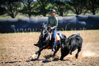 GoulburnCampdraft2017_3846