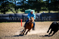 GoulburnCampdraft2017_3836