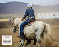 AdaminabyCampdraft2019_1480