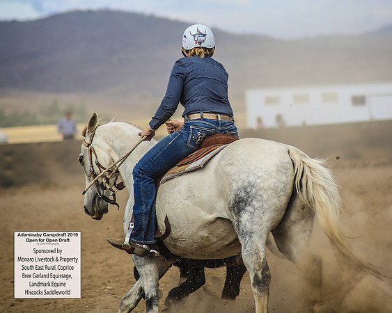 AdaminabyCampdraft2019_1480