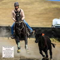 AdaminabyCampdraft2019_1416