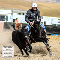 AdaminabyCampdraft2019_1403