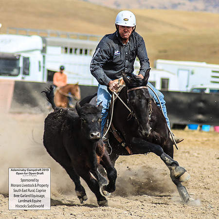 AdaminabyCampdraft2019_1403