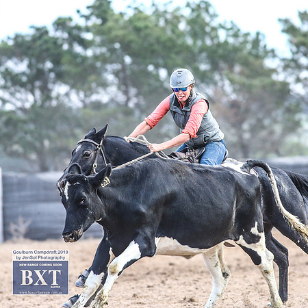 GoulburnCampdraft2019_4736