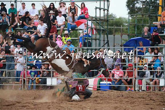 QueanbeyanRodeo2016_0947