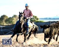 GoulburnCampdraft2019_2533