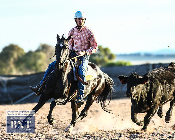 GoulburnCampdraft2019_2533