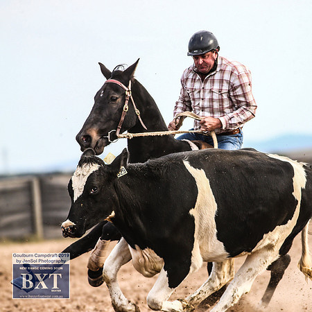 GoulburnCampdraft2019_4636