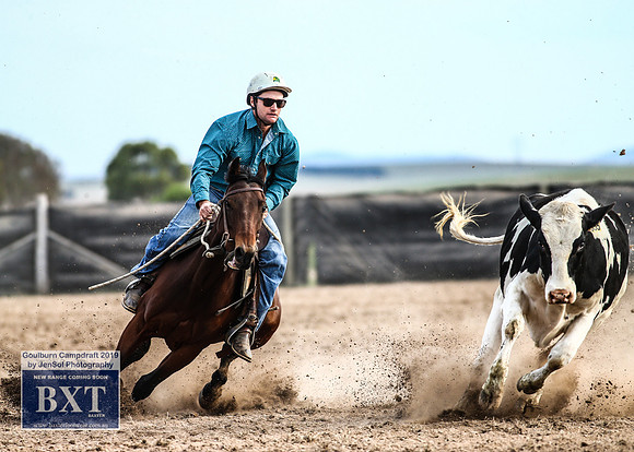 GoulburnCampdraft2019_4679