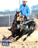 GoulburnCampdraft2019_2199