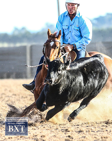 GoulburnCampdraft2019_2199