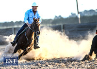 GoulburnCampdraft2019_2584