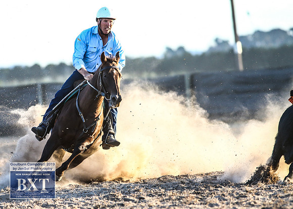 GoulburnCampdraft2019_2584