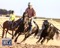 GoulburnCampdraft2019_2542