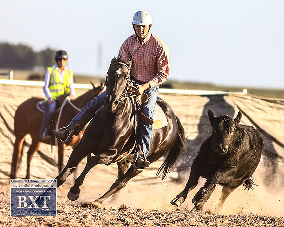 GoulburnCampdraft2019_2542