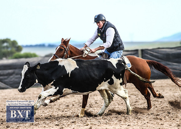 GoulburnCampdraft2019_4610